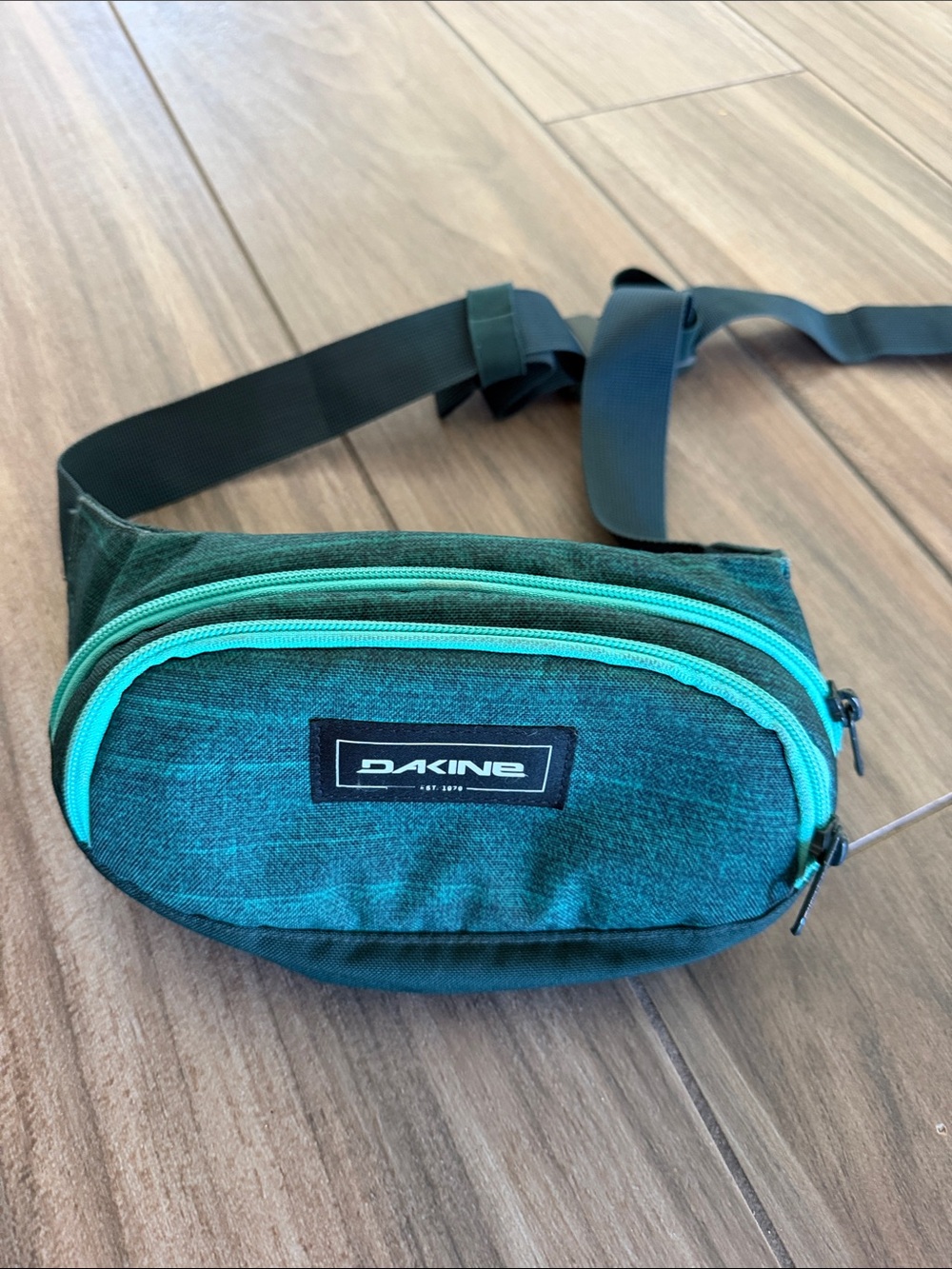 Dakine Classic Hip Pack Teal Waist Pack. Fanny Pack Belt Bag - Cool